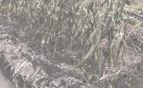 �r(n��ng)����N��ُ�N��ͬ