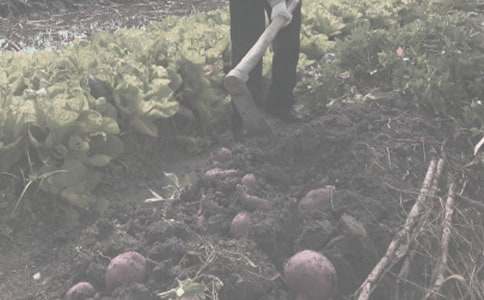 �r(n��ng)����N���I�u��ͬ