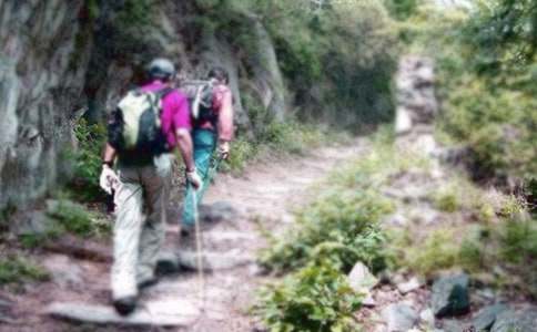 ��ɽ����һ�N������ԏ�����850��