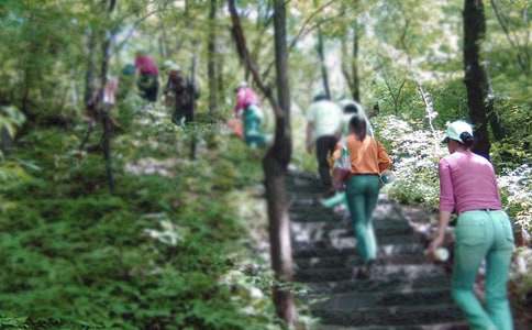 ��ɽ�����������ģ����x25ƪ��