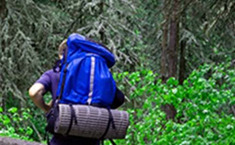 ����ɽ������