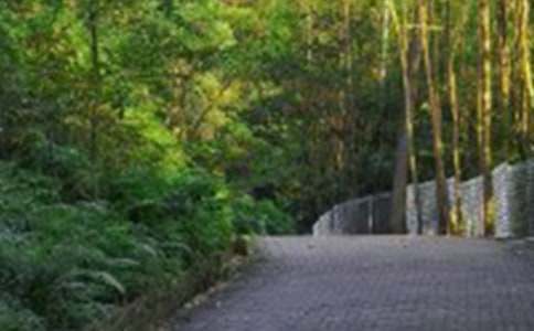 ӛһ����ɽС�W(xu��)����300��