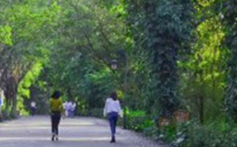 �P(gu��n)����ɽ��������