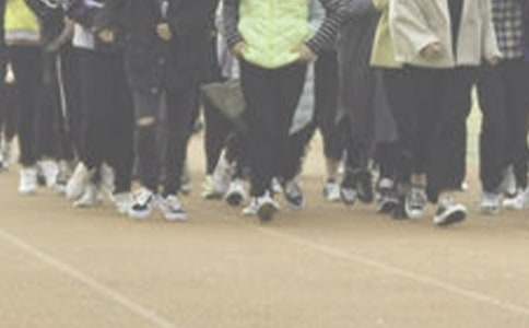 �ܲ�����300�֣�ͨ��25ƪ��