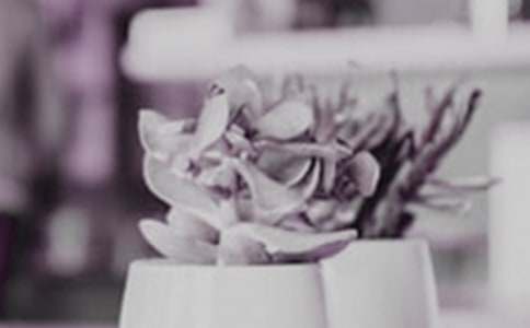 盆栽作文300字3篇