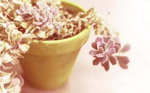 ��������500��