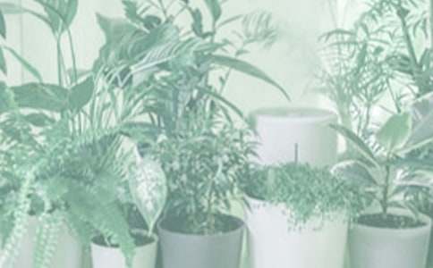 �ҵ��������꼉����