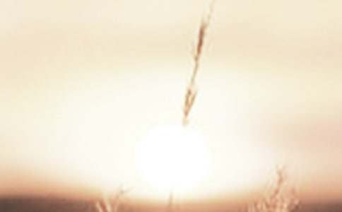 破曉的幸福作文