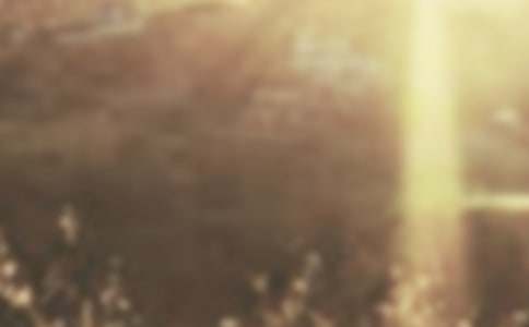 �ƕ�500������