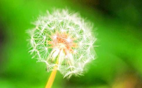 �^���ѹ�Ӣ����7ƪ