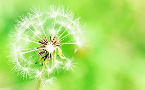 �ѹ�Ӣ���^������