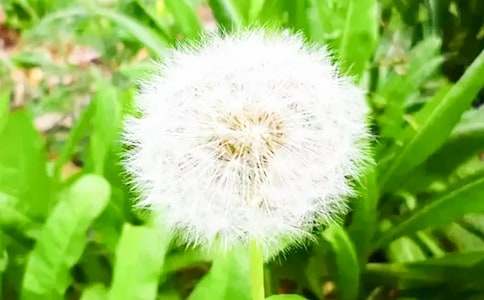 ���o(h��)���е��ѹ�Ӣ��������