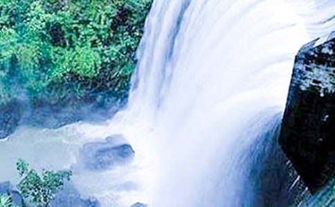 �茑�ٲ�������[��(j��ng)��]