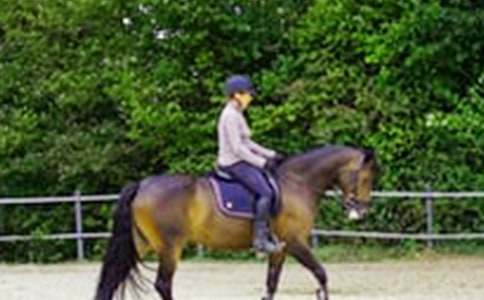 �P(gu��n)���T�R��С�W(xu��)����