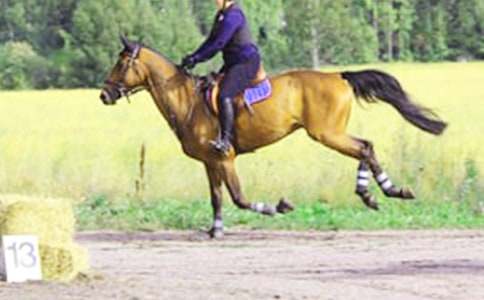 �T�R����350��