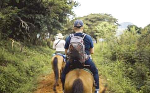 �P(gu��n)���T�R�����ģ��T�R�ĸ���