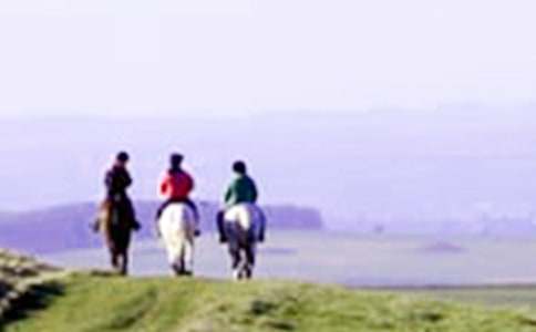 �茑��ԭ�T�R������9ƪ