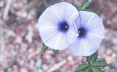 �^�젿����С�W(xu��)���^������