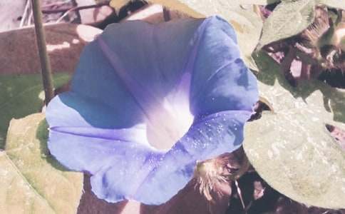 ��������(y��u)���������