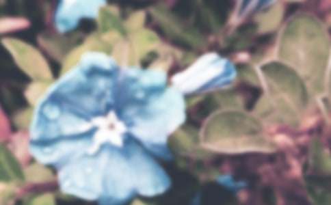 ��ţ���Yٝ�������ģ����x33ƪ��