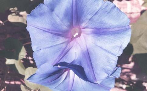 С�W(xu��)���ģ��^�젿ţ��