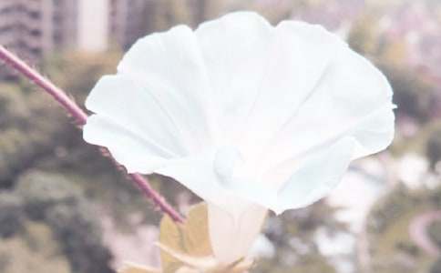 ��������������800��