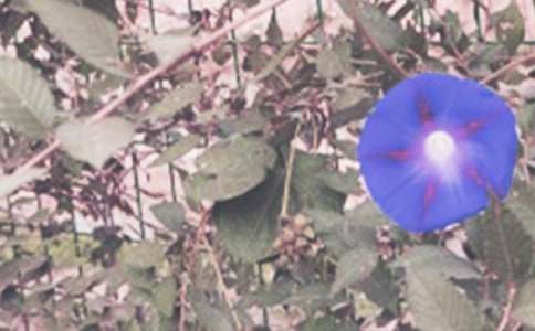 �辰����ɢ�ģ�����Ġ�����