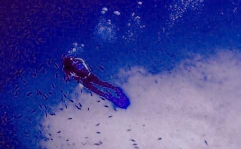 ��һ�Ν�ˮ����5ƪ