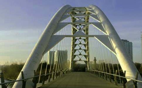 ���������x�Ę�������