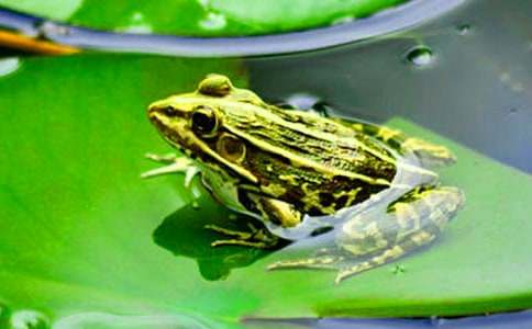 ���ܺ�Λρ?zh��n)��?ƪ