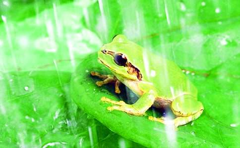 �^��������ͯԒ����