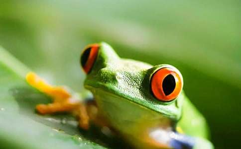 ���ܵĜIˮ-���꼉(j��)����