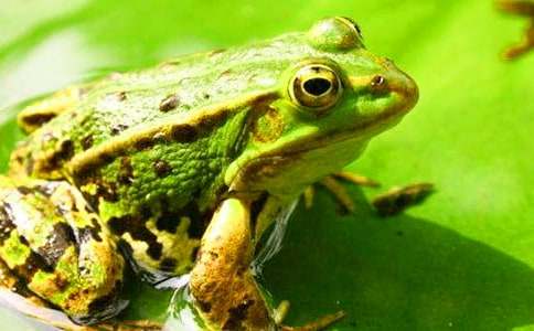 �P(gu��n)�����ܵ�ͯԒ����3ƪ