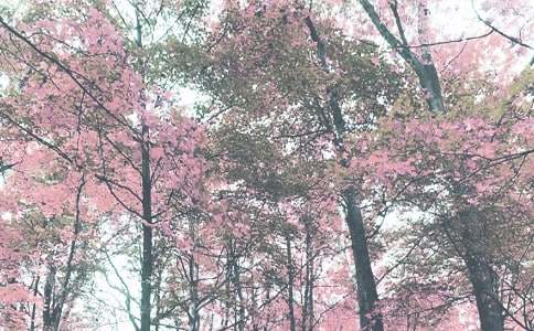 һ�������x���＾��������