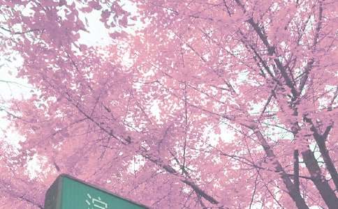 �＾���L(f��ng)����