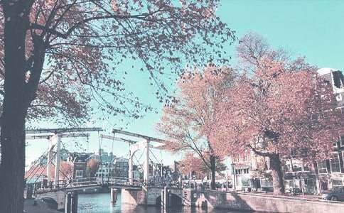 ��?y��n)������Ґ������＾���?00�֣�ͨ��56ƪ��