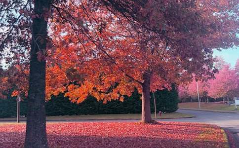 ���ģ����� �L(f��ng)