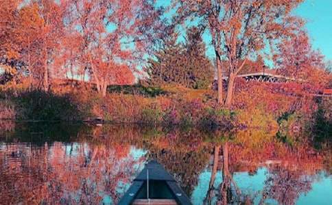 ��������600��