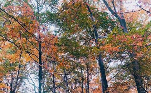 ���ճ�������