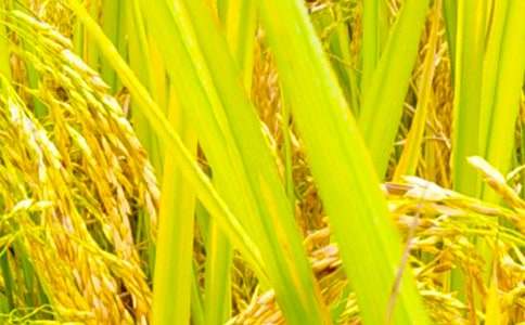 �������պ͠���?sh��)��֌������ģ�ͨ�?6ƪ��