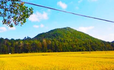 秋收作文400字(通用45篇)