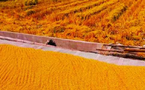 ��������400��3ƪ