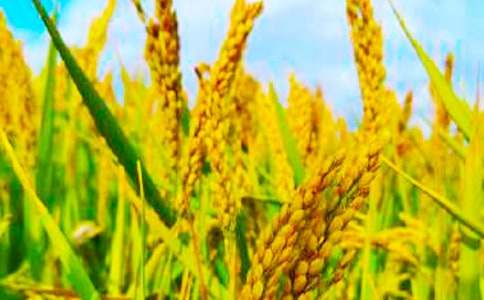 �Ĵ��굽����,�y�ֹ��еİ༉(j��)