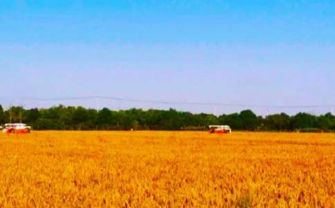 ���ջ��(d��ng)���ģ����x37ƪ��