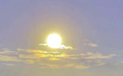 �Ґ��ճ���������