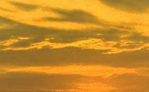 �茑��������������