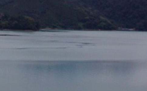 ����̶���n��