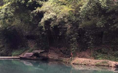 ���{���ٲ�����