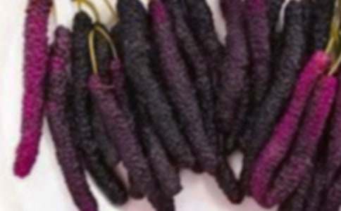 �����ɣ���@-���꼉���Ĵ�ȫ