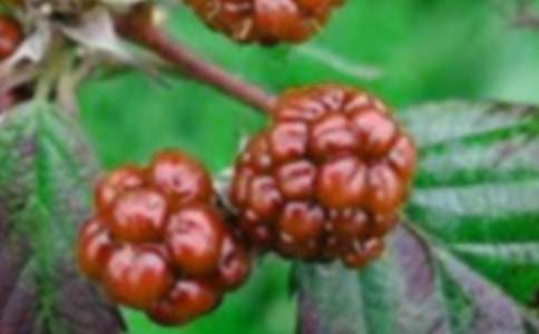 ժɣ��С�W(xu��)����